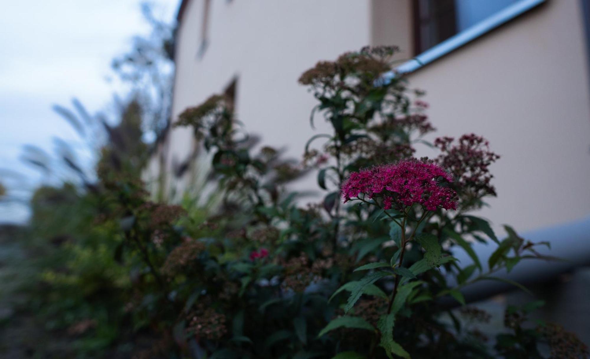 Uroczysko Olesnica Bed and Breakfast Chodzież Εξωτερικό φωτογραφία