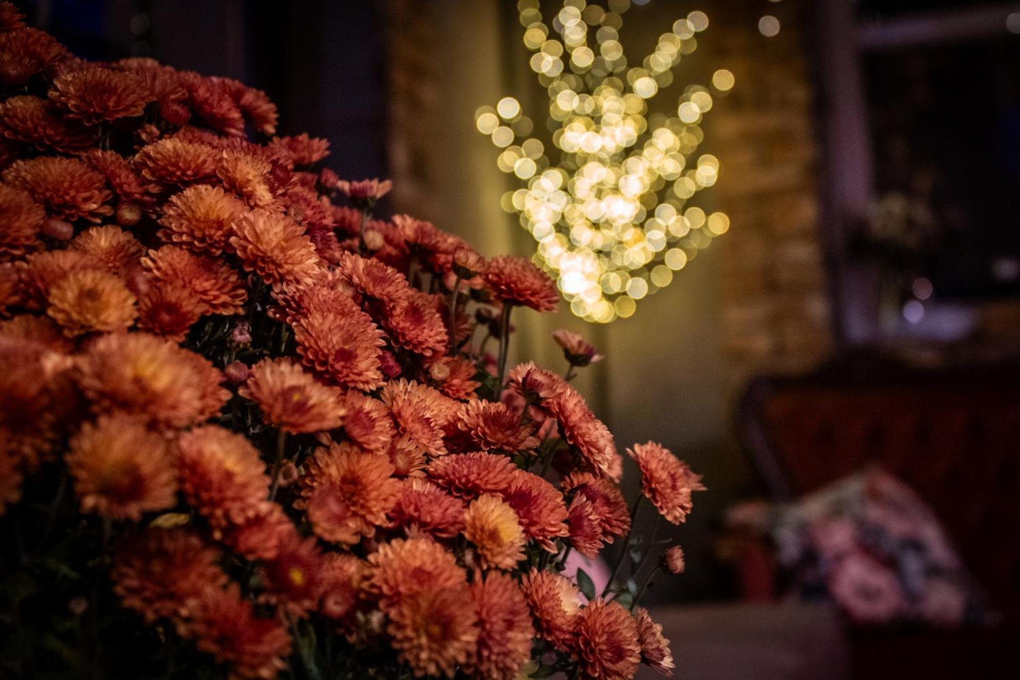 Uroczysko Olesnica Bed and Breakfast Chodzież Εξωτερικό φωτογραφία