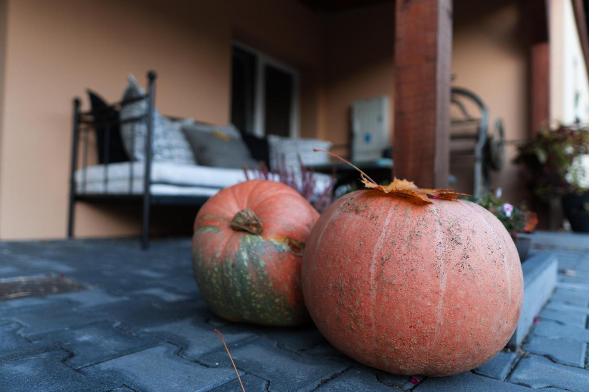 Uroczysko Olesnica Bed and Breakfast Chodzież Εξωτερικό φωτογραφία