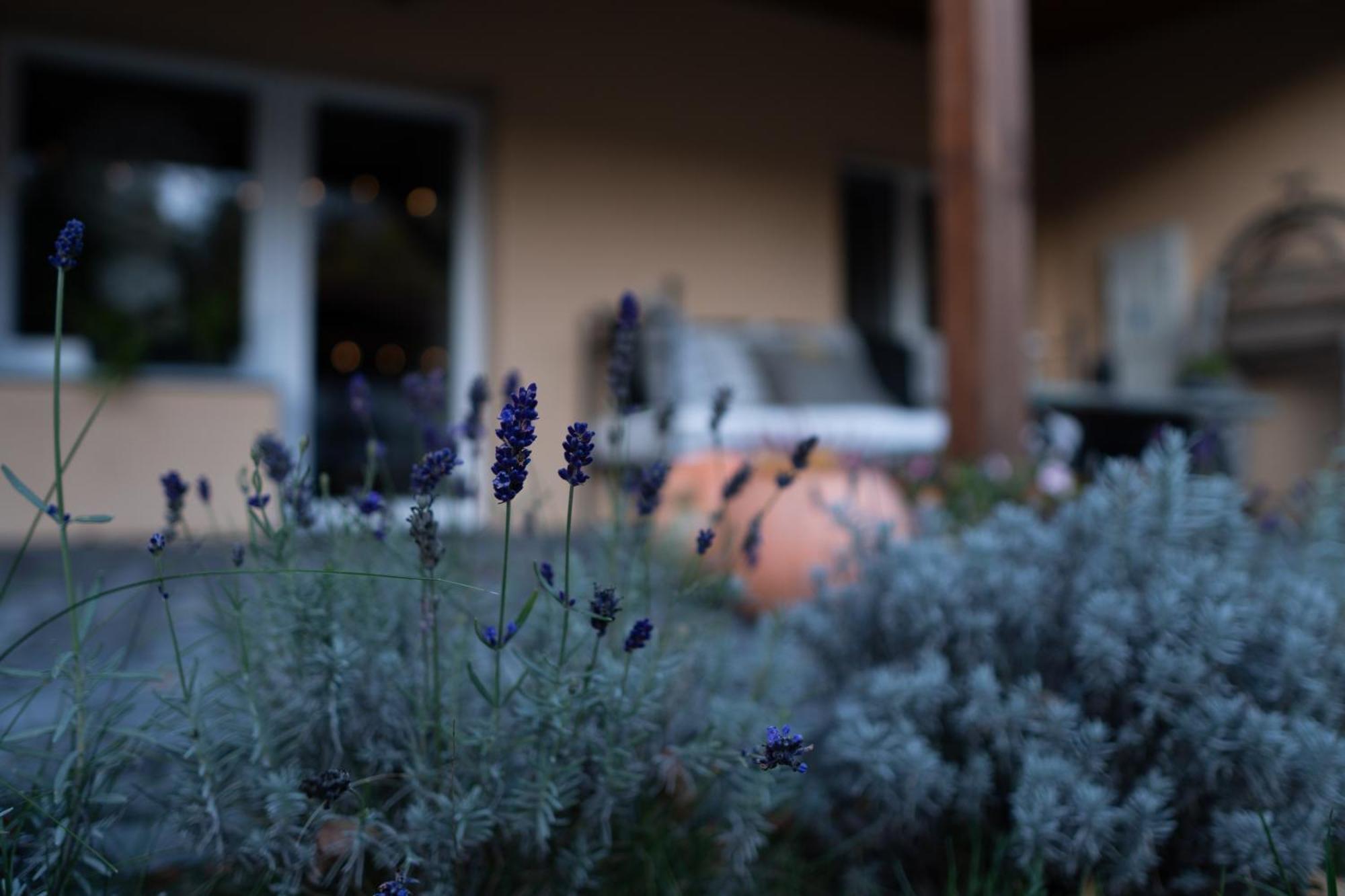 Uroczysko Olesnica Bed and Breakfast Chodzież Εξωτερικό φωτογραφία